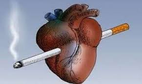 عوامل خطر زا در بروز بیماری قلبی